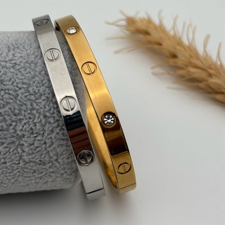 Cartier’s iconic bracelet